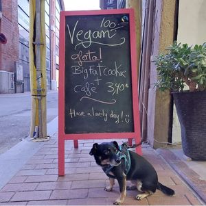 Close to the beach 5 mins Poblenou Metro (yellow!)  at V Market in Barcelona