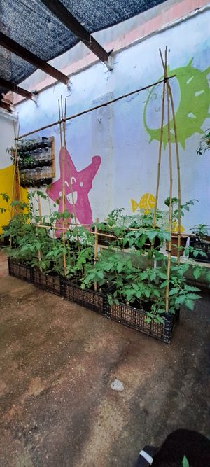  at V Market in Barcelona