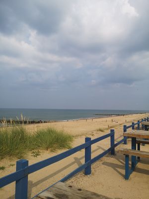 View from the outdoor seating area at Poachers Pocket in Norwich