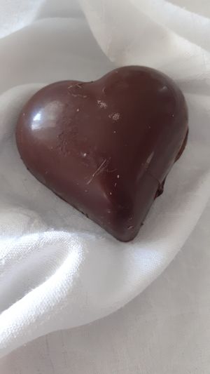 Brownie de ganache de chocolate 100% vegetal at Brownieria V in Sao Paulo