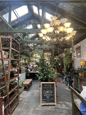 Beautiful airy interior  at Our Local  in Cape Town