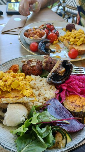  at The Orchard Table at Macadamias Australia in Bundaberg