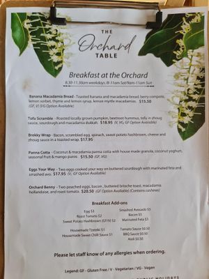 Tofu scramble! at The Orchard Table at Macadamias Australia in Bundaberg