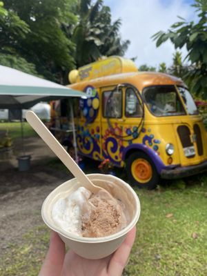 Icecream  at Coconut Glen's in Haiku