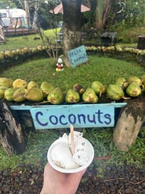 Original coconut and mint chip at Coconut Glen's in Haiku
