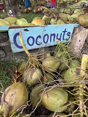   at Coconut Glen's in Haiku