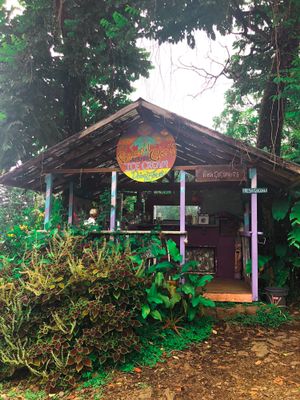 coconut glens shack on the road to hana at Coconut Glen's in Haiku