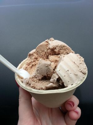 Vegan Chocolate Macadamia Nut Ice Cream at Coconut Glen's in Haiku