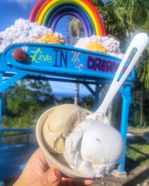 Salted Caramel & Original Coconut  at Coconut Glen's in Haiku