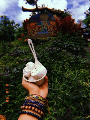 The ORIGINAL is the best, in my opinion. at Coconut Glen's in Haiku
