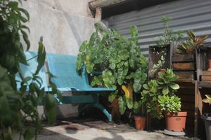 Rooftop garden at Kneading Peace in Malacca