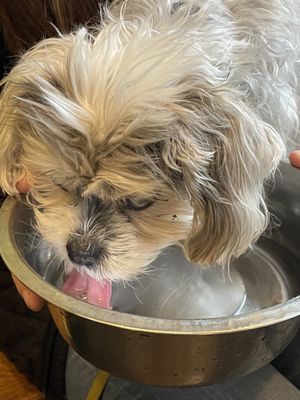   at De Vegan Bakker in Heusden