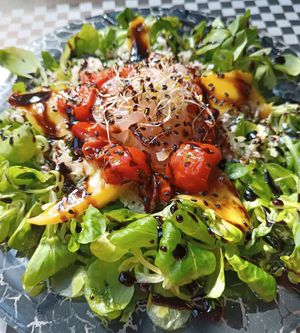  at Catoi Vegan Lab in Barcelona