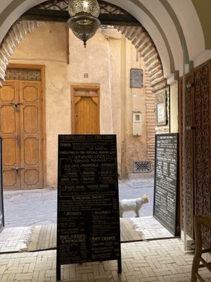   at World Storytelling Cafe in Marrakech