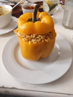 gefüllter paprika (marrok. gewürzt) at World Storytelling Cafe in Marrakech