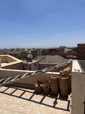   at World Storytelling Cafe in Marrakech