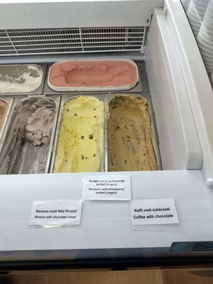 Vegan optionsv at Skútaís - Farm Ice Cream in Skutustadjahreppur
