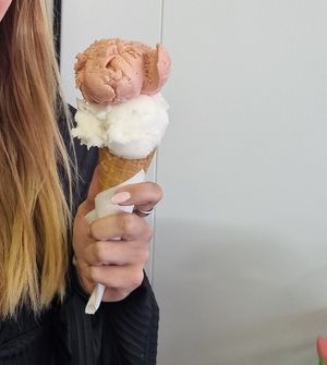 Yum at Skútaís - Farm Ice Cream in Skutustadjahreppur