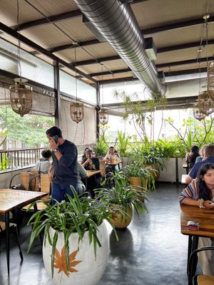 Go Native on Lavelle Rd - Inside the cafe/ restaurant  at Go Native - Lavelle Road in Bangalore