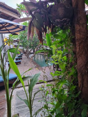 direct view into the resort at Jali Kitchen in 