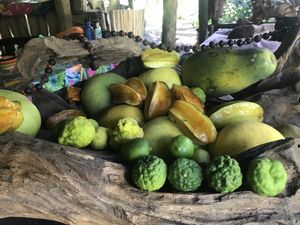 Lots of tropical fruits on hand  at Cannibal Art in Nuku Hiva