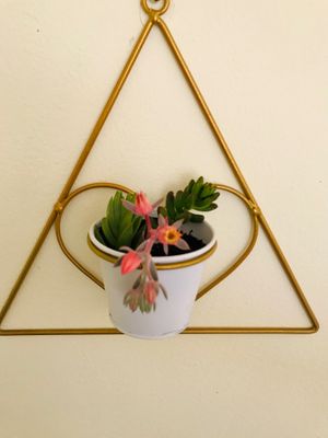  at AlmaPimentada in Tiltil