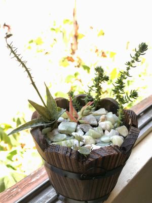  at AlmaPimentada in Tiltil