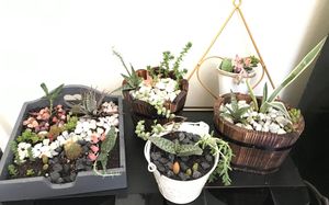  at AlmaPimentada in Tiltil