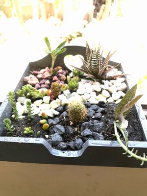  at AlmaPimentada in Tiltil