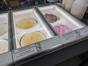 Some of the vegan options at REŸS Glaces Eternelles in Paris