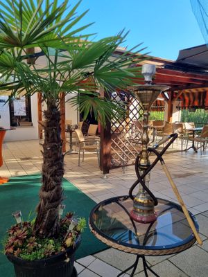 TERASSE at Šiša Bar - Maybe closed in Brezice