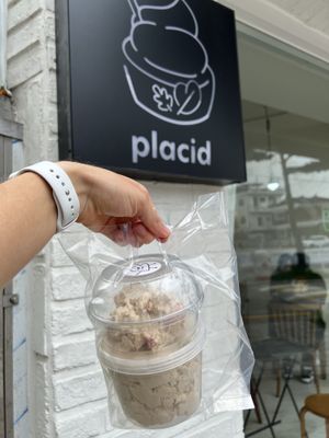   at Placid in Suwon