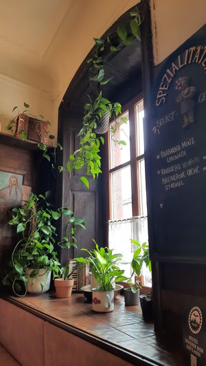  at Weinstube Eulenspiegel in Speyer