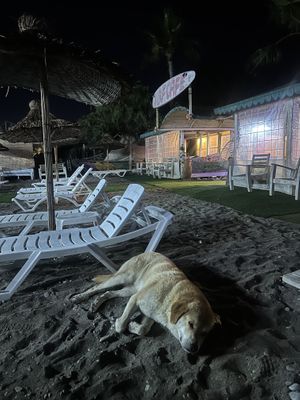   at Surf Cafe in Mugla