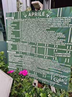 Vegan flavours clearly labelled at G'ala Gelateria in Lissone