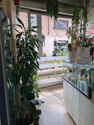 Inside at G'ala Gelateria in Lissone