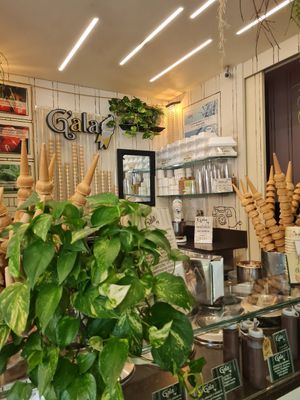 Inside at G'ala Gelateria in Lissone