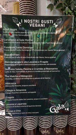 May Vegan taste at G'ala Gelateria in Lissone