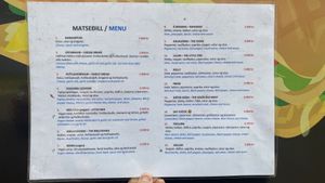 Menu (vegan items marked with a V)  at Lava'47 in Hella