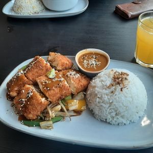 Tofu katsu with rice at Tapau House Restaurant in Arklow