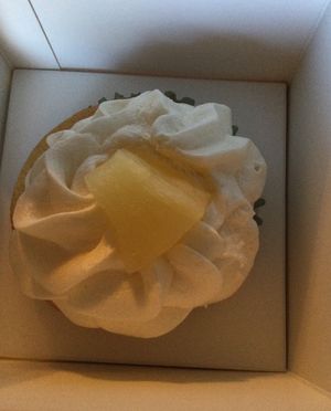  #Veganuary at The Vulgar Vegan in Chicago