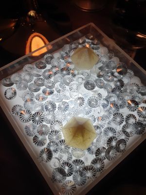 Fennel Diamonds at Mini Bar - José Avillez in Lisbon