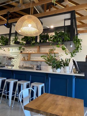 Interior  at Goji Berry in Phoenix