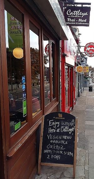 Great to see 'vegan menu' mentioned on the board outside :-) at Cattleya in South East London