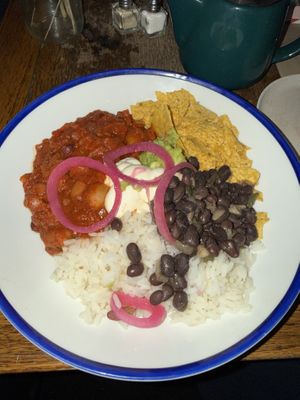  Chilli  at Hawkes House in Bristol