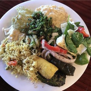 everything’s good and it’s all marked vegan vegetarian or not, mostly all vegan at Dimassi's Mediterranean Buffet in Austin