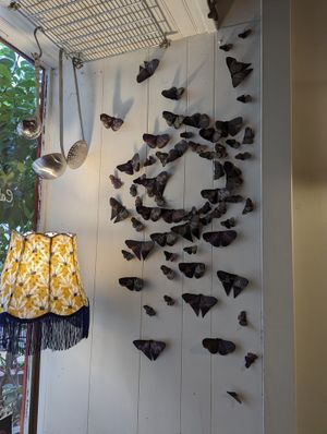  at Le Simone's Café in Vienne