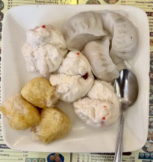 Veg dim sum combo  at Big Lantern in San Francisco