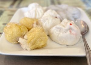 Veg dim sum combo  at Big Lantern in San Francisco