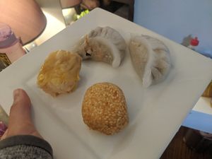 dumplings and a piece of "chicken" siu mai from the vegetarian dim sum, and a sesame ball at Big Lantern in San Francisco